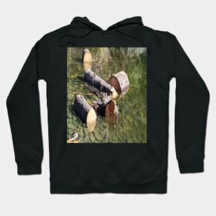 Nature River Logs Vancouver Island #57 Hoodie